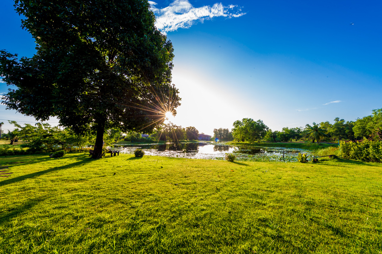 Open lakeside lawn, calm and natural